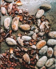 %100 KAKAO ŞEKERSİZ BİTTER ÇİKOLATA KUVERTÜRÜ 500GR